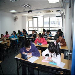 睿達國際教育公司新聞 公司地址