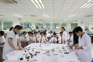 生活即教育 實踐即課堂——記虎外小學部二三年級劍橋班走進以純實踐活動