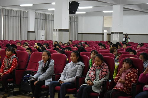 名校風采體驗日 睿迪教育機構師生家長走訪睿虎教育學院